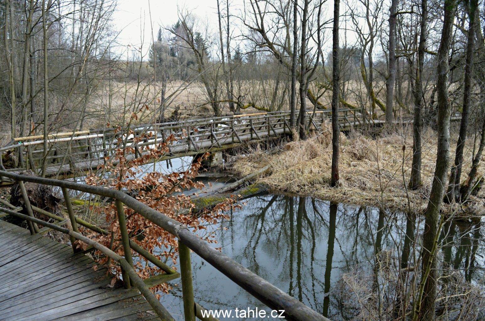 Zelená hora (ŽĎár nad sázavou)