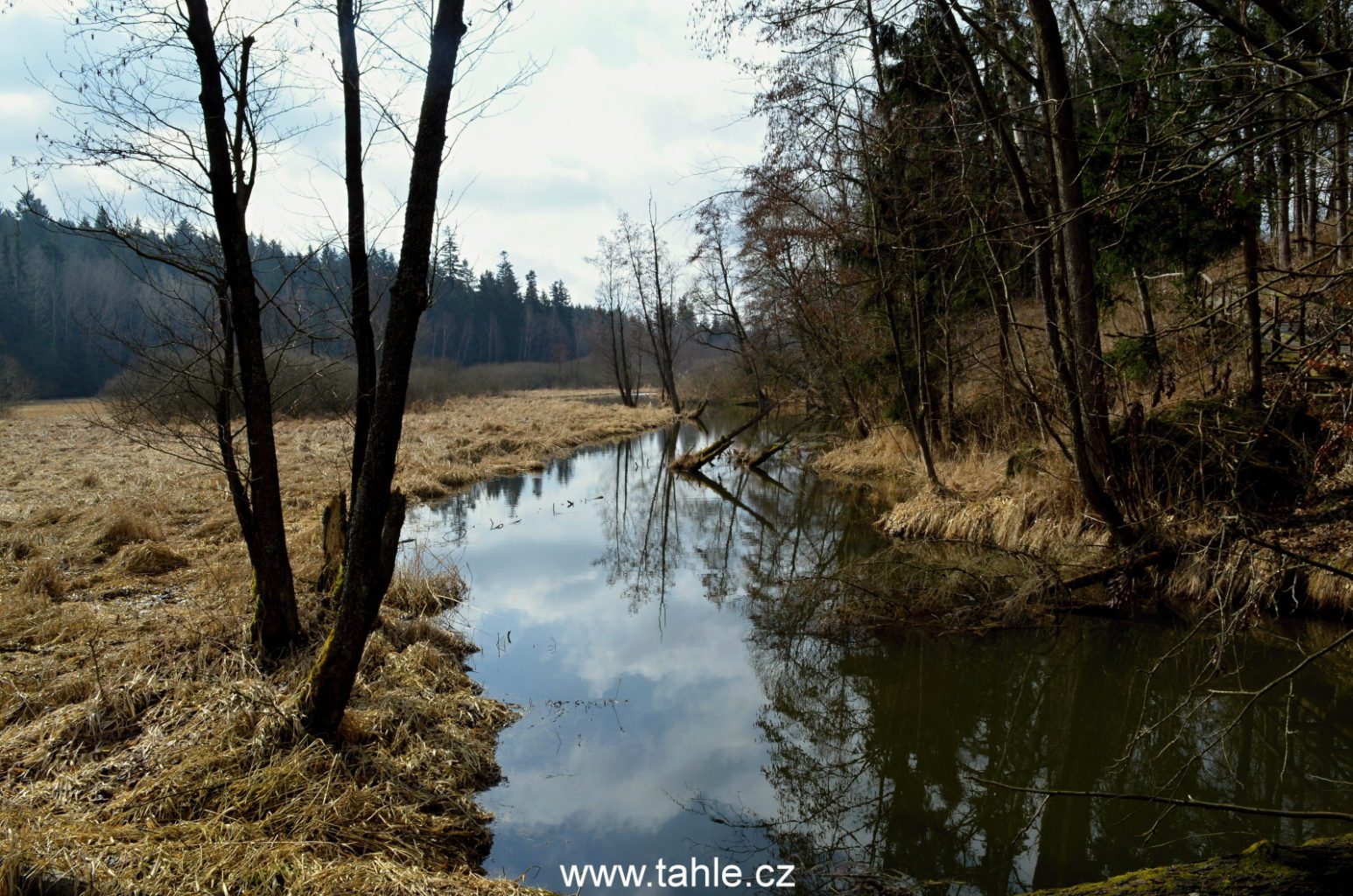 Zelená hora (ŽĎár nad sázavou)