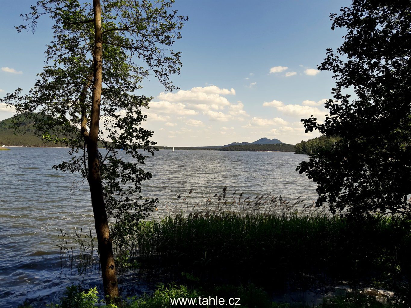 Máchovo jezero
