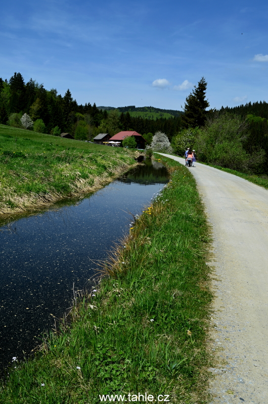 Schwarzenberský plavební kanál