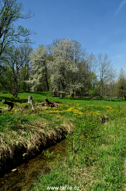 Schwarzenberský plavební kanál