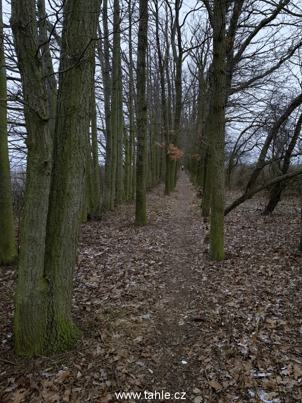 Unhošť