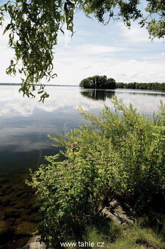 Plön