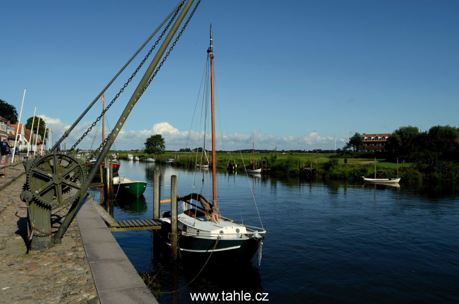 Ribe