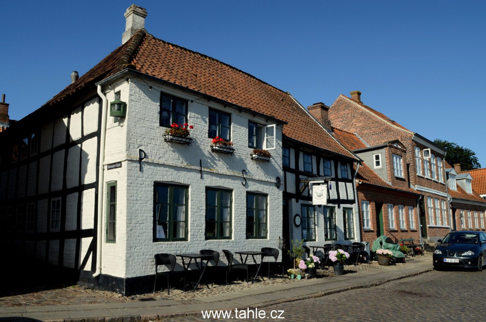 Ribe