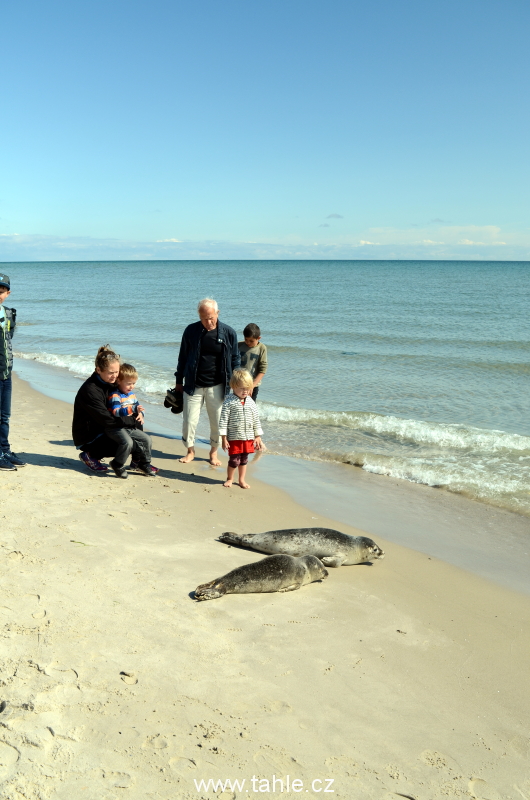 Skagen