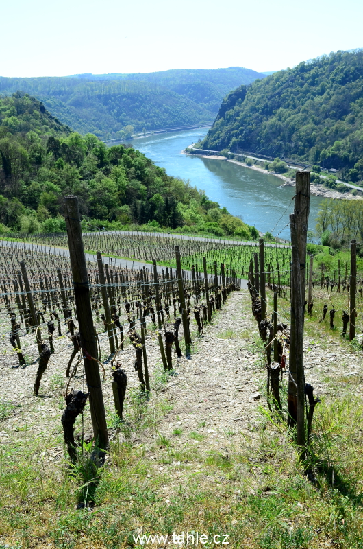 LORELEY