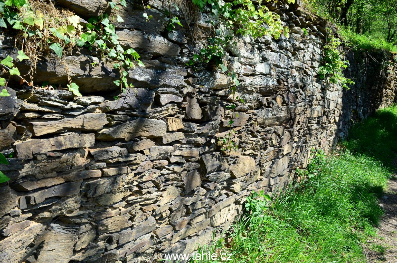 Loreley