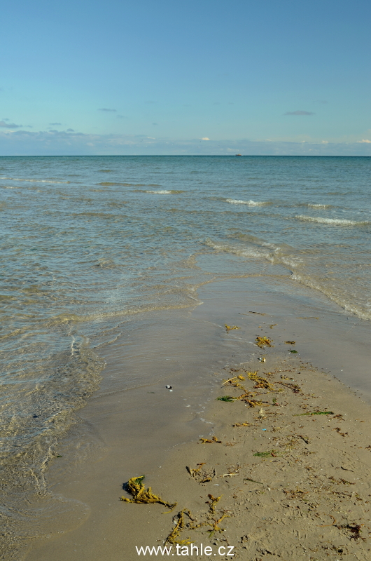 Skagen