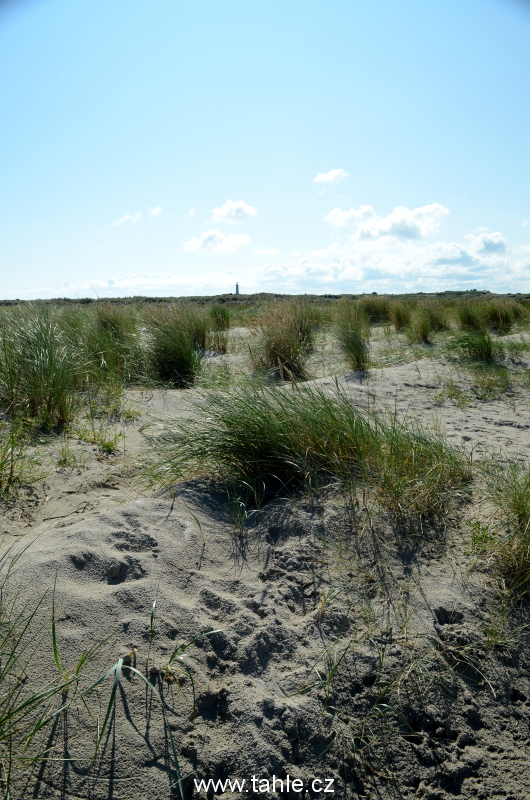 Skagen