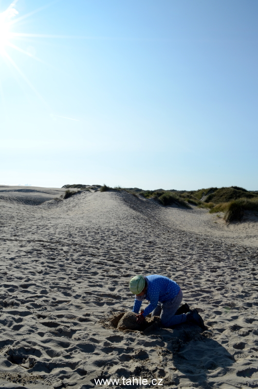 Skagen