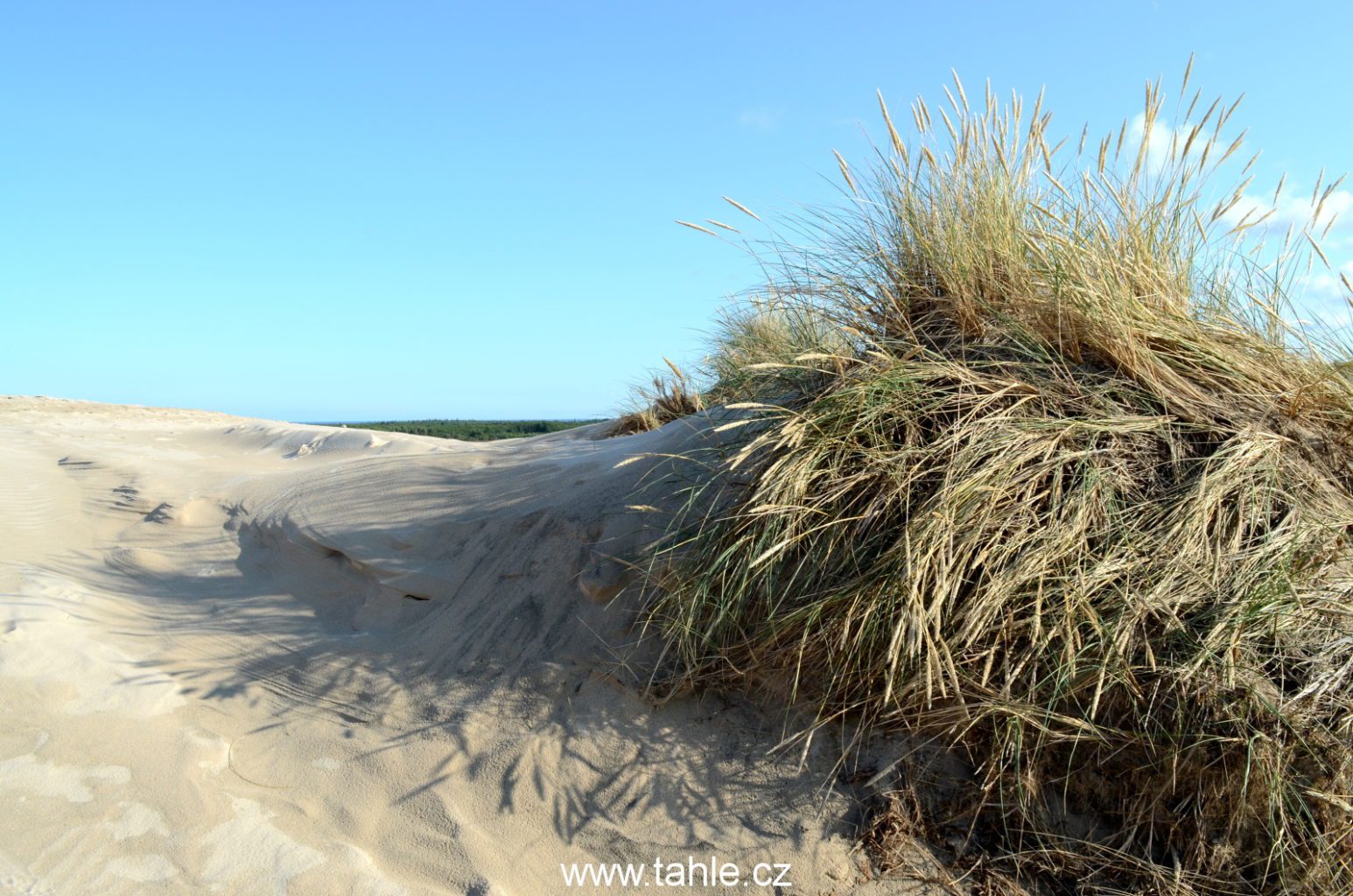 Skagen