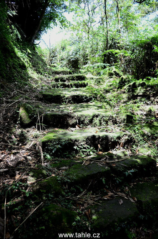 Taiwan