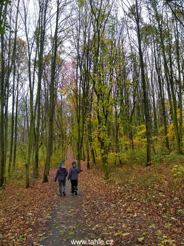 Barrandov