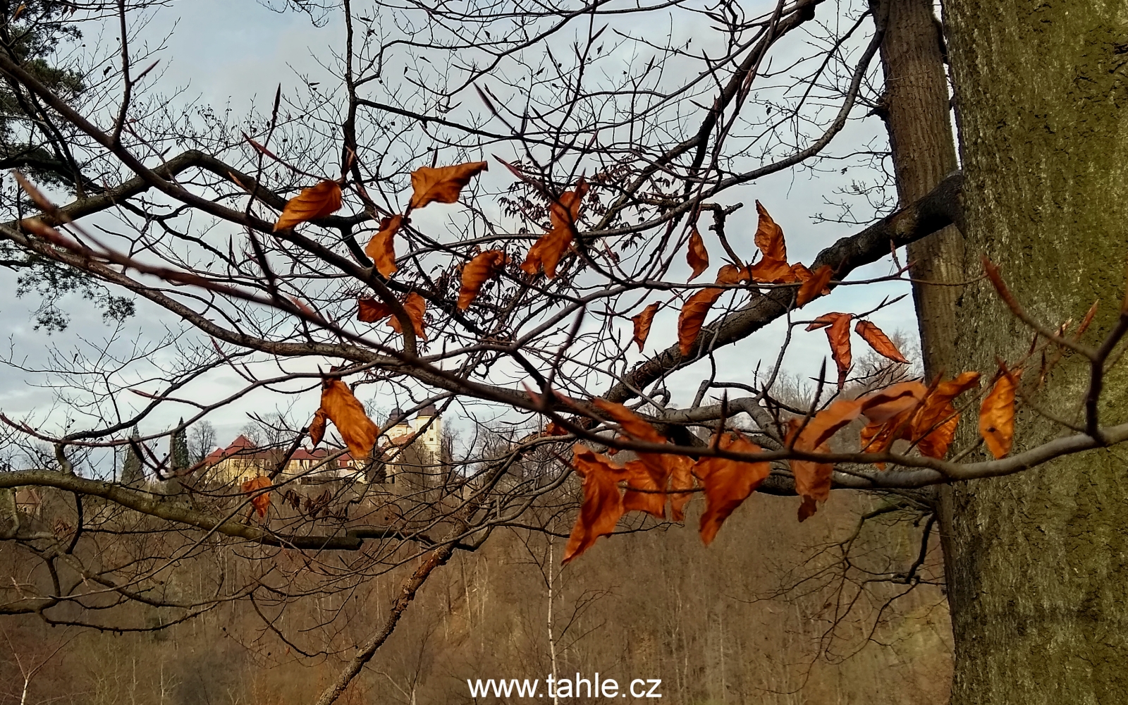 Klodzko a Ksiąž