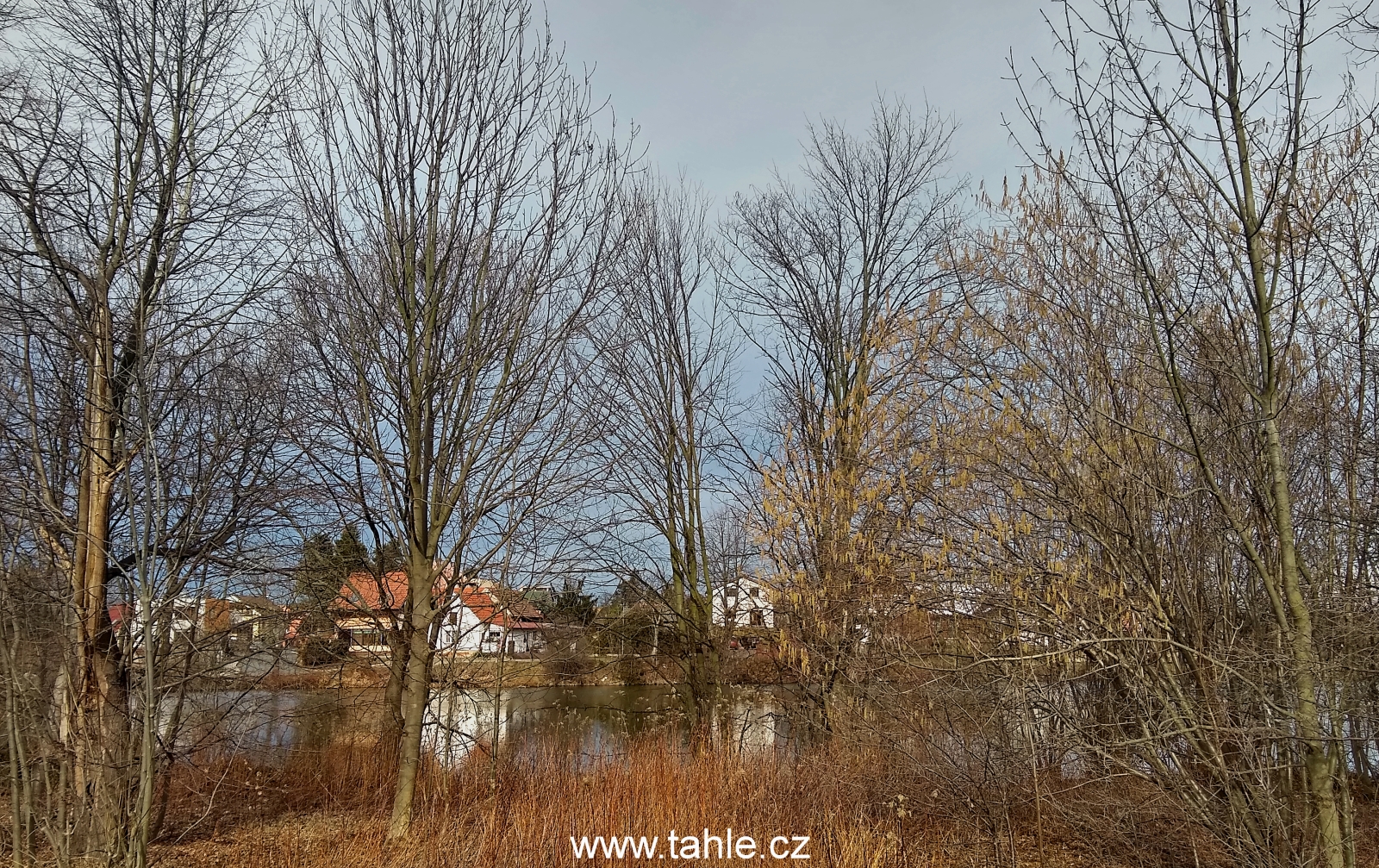 Hodkovice