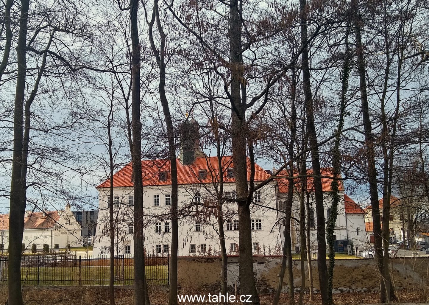 Hodkovice