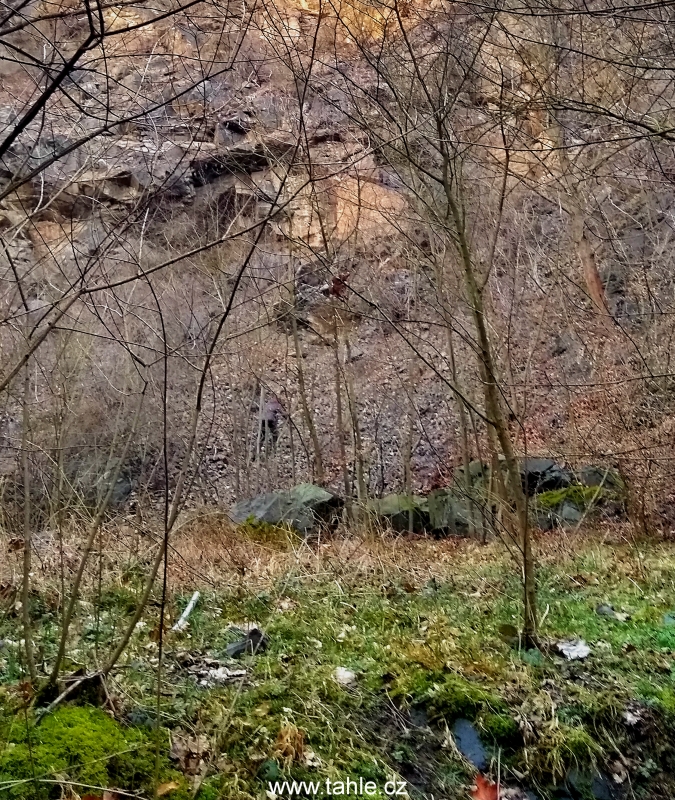 Libčice nad Vltavou