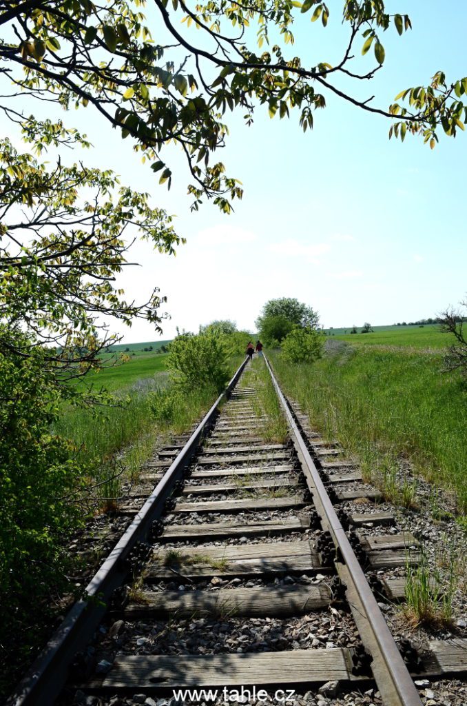 Postřižín