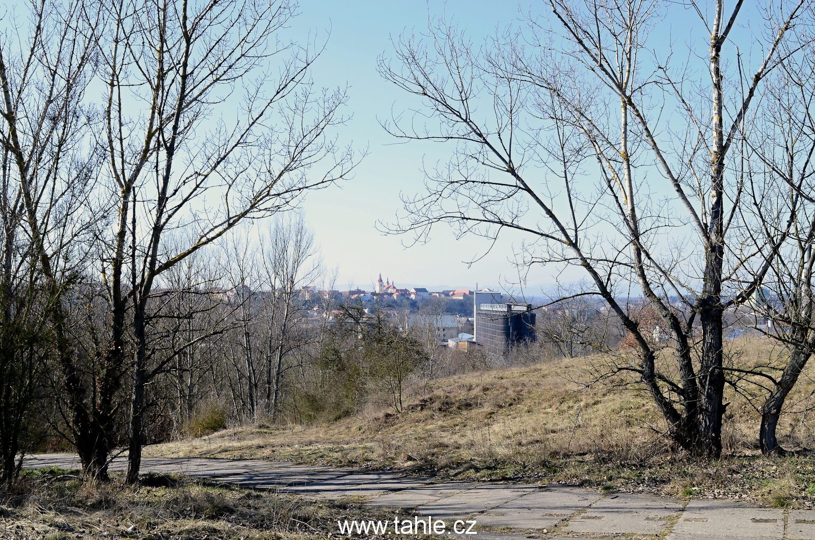 Žatec