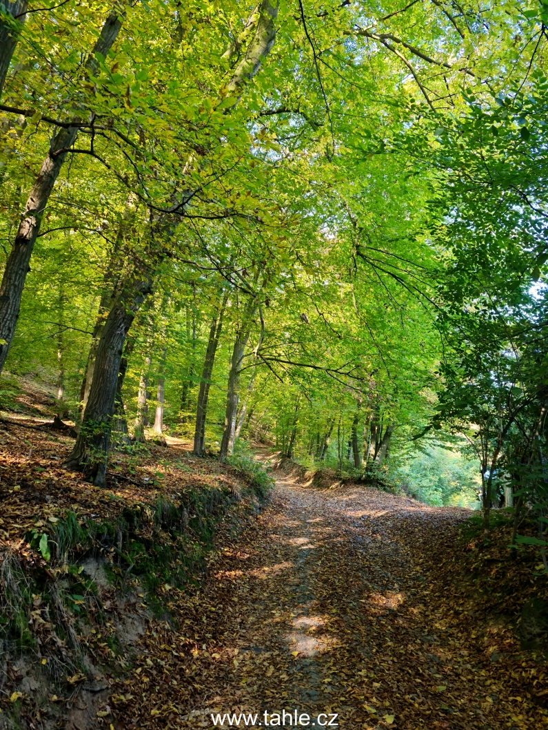 Měchenice - Řevnice