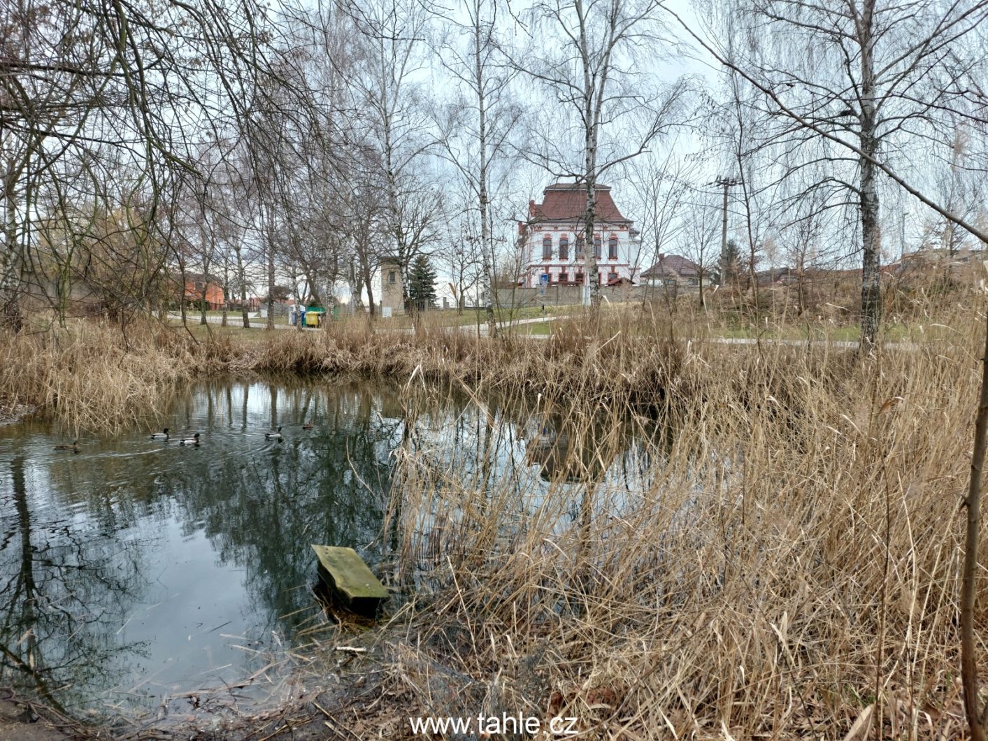 Lysá a Ostrá