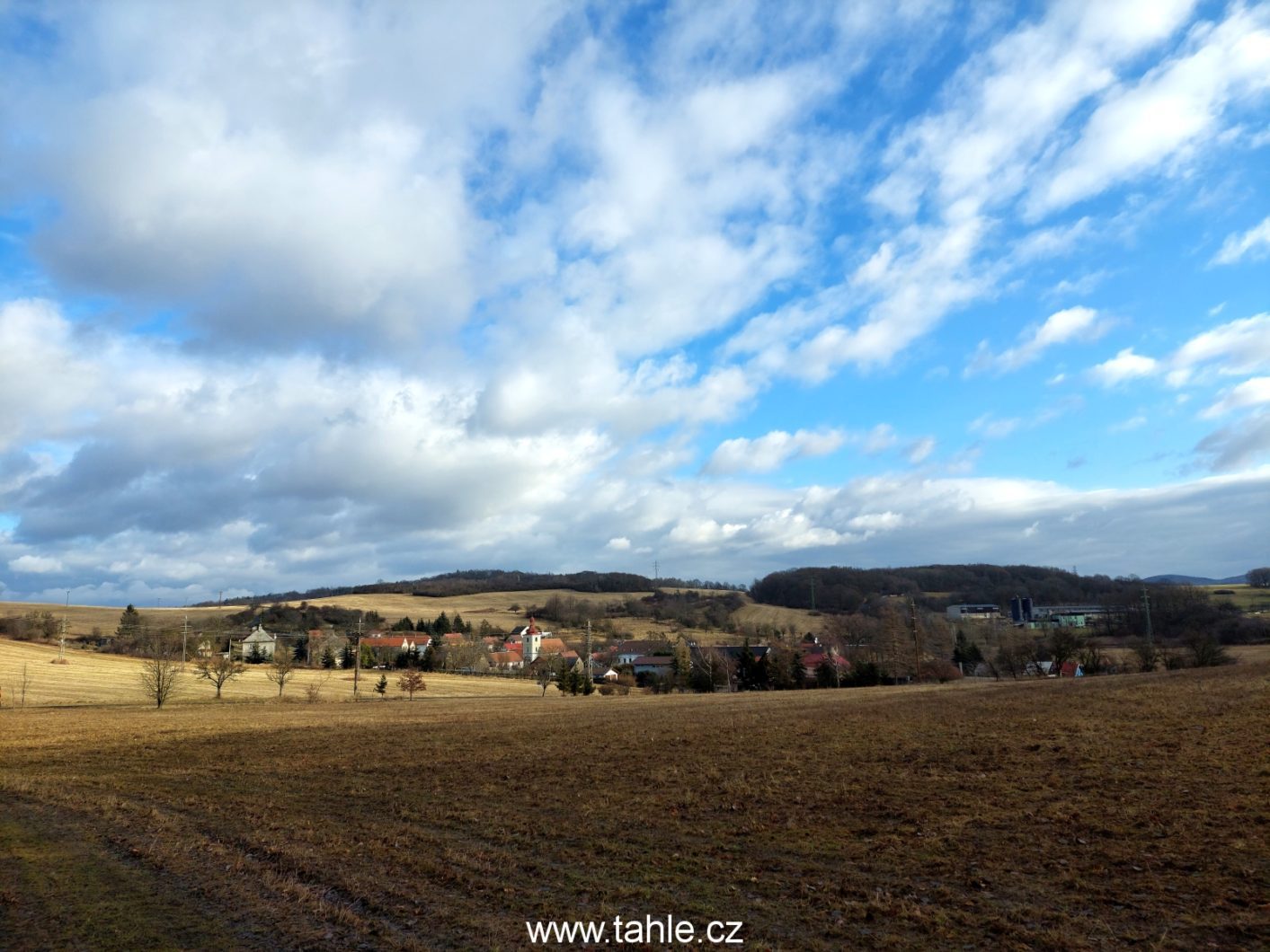 Stadice
