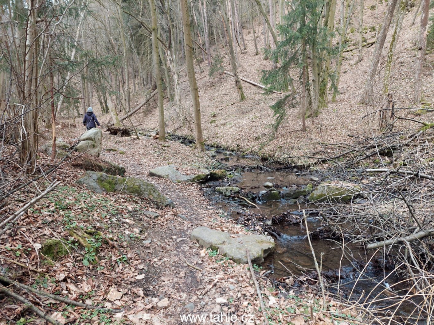 Týřov
