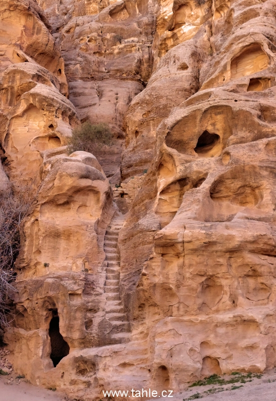 Malá Petra a hrad Krak de Montreal a přírodní rezervace Wadi Dana