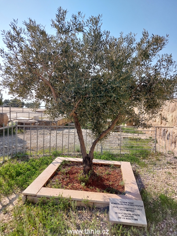 Mont Nebo - Wadi Musa