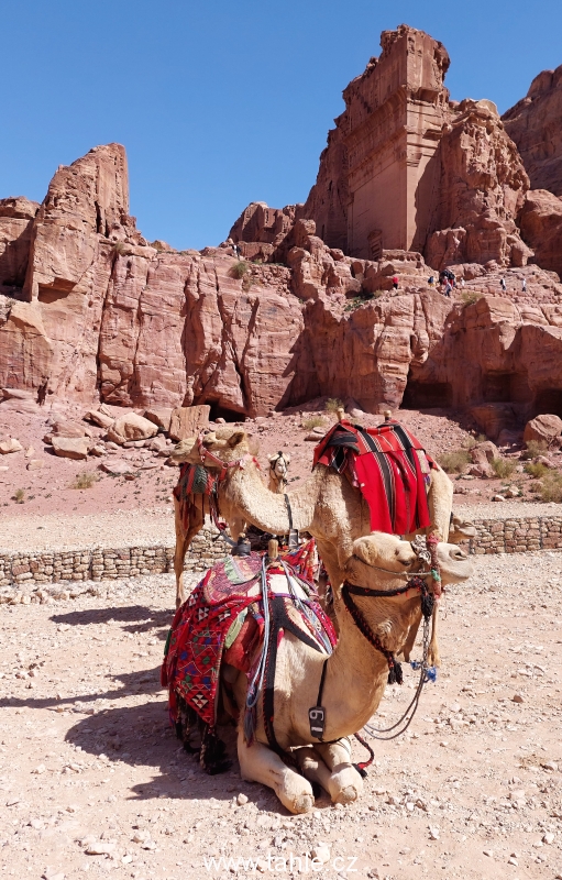 Petra