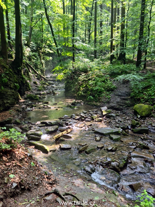 Lysá Hora