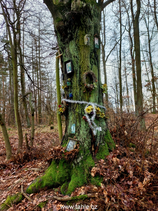 Chrustenice