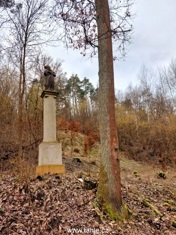 Radouň