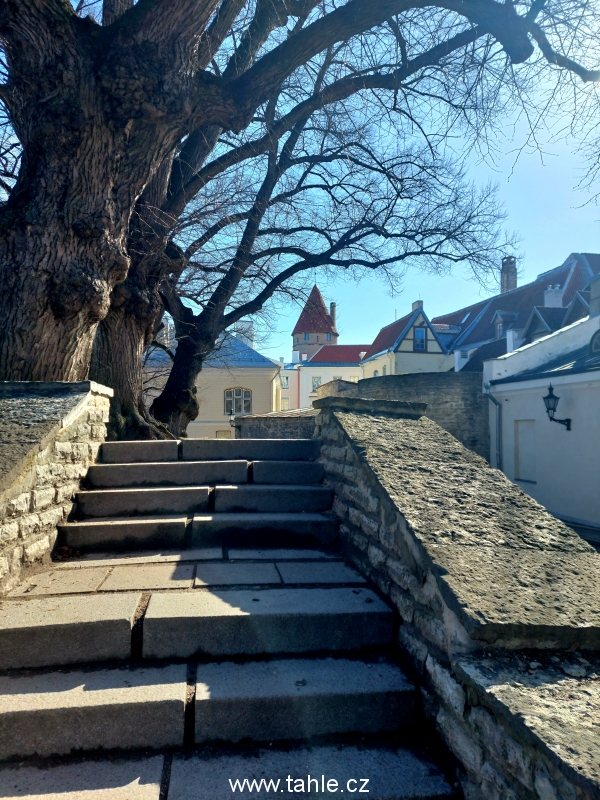 Tallin