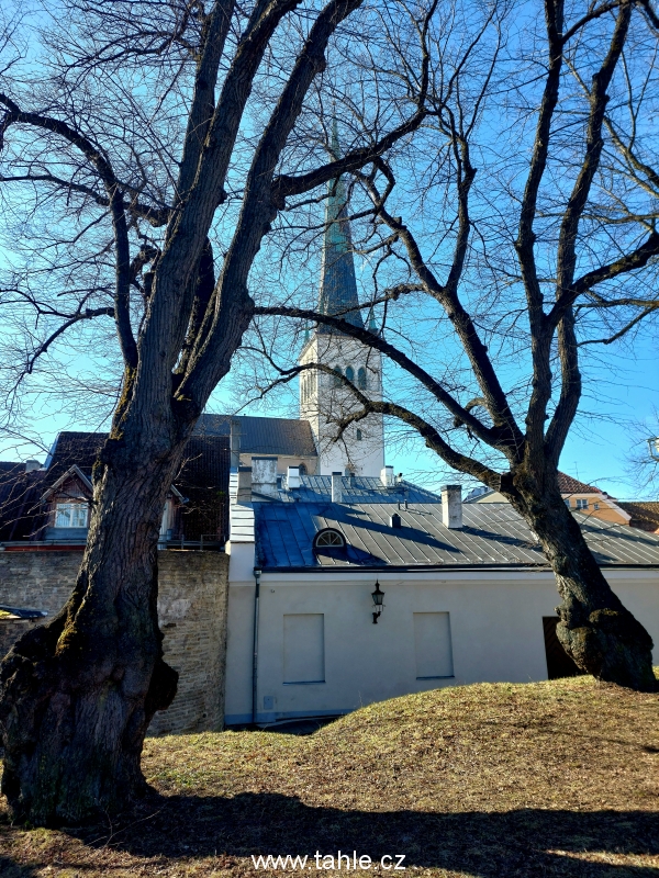 Tallin