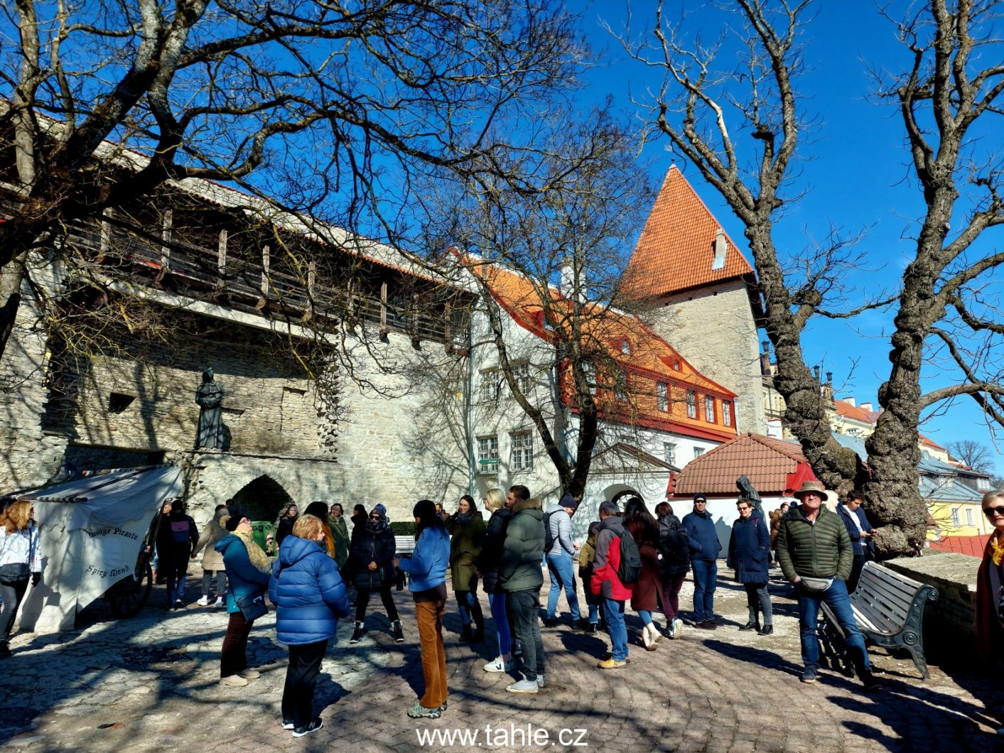 Tallin