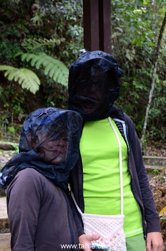 Národní park Kinabalu