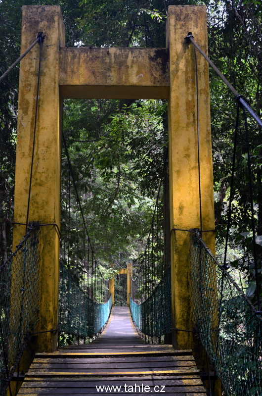 Lambir Hills National Park j