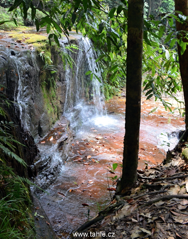 Lambir Hills National Park j