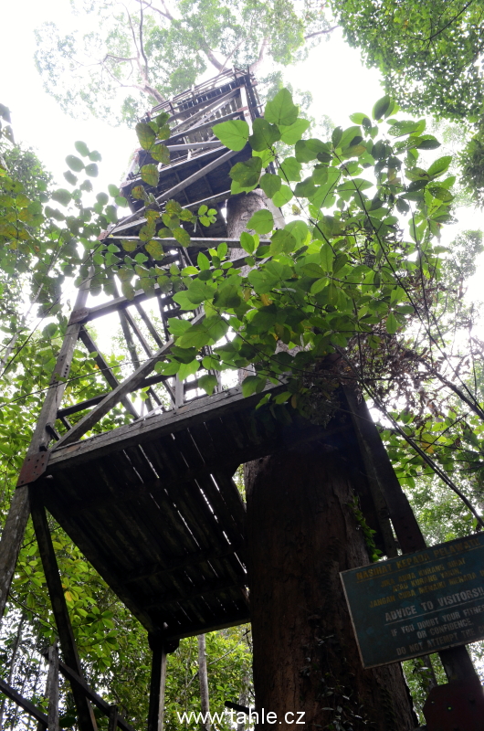 Lambir Hills National Park j
