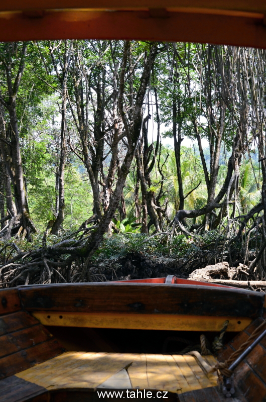 Ulu Temburong National Park