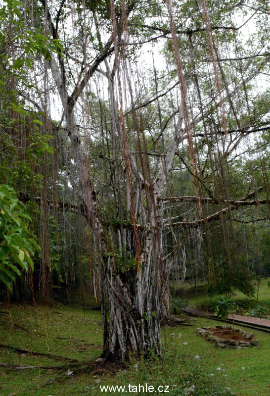 Kuching (město)