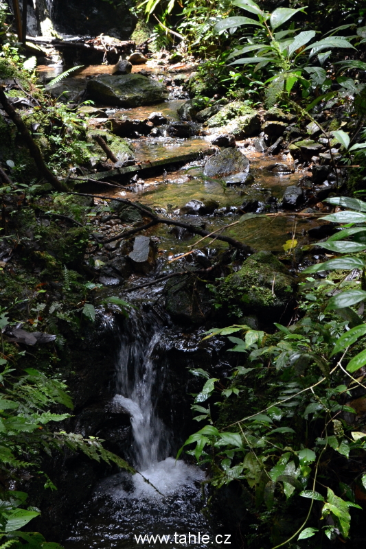 Národní park Kinabalu