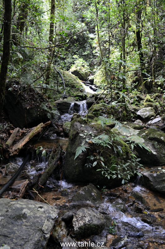 Národní park Kinabalu