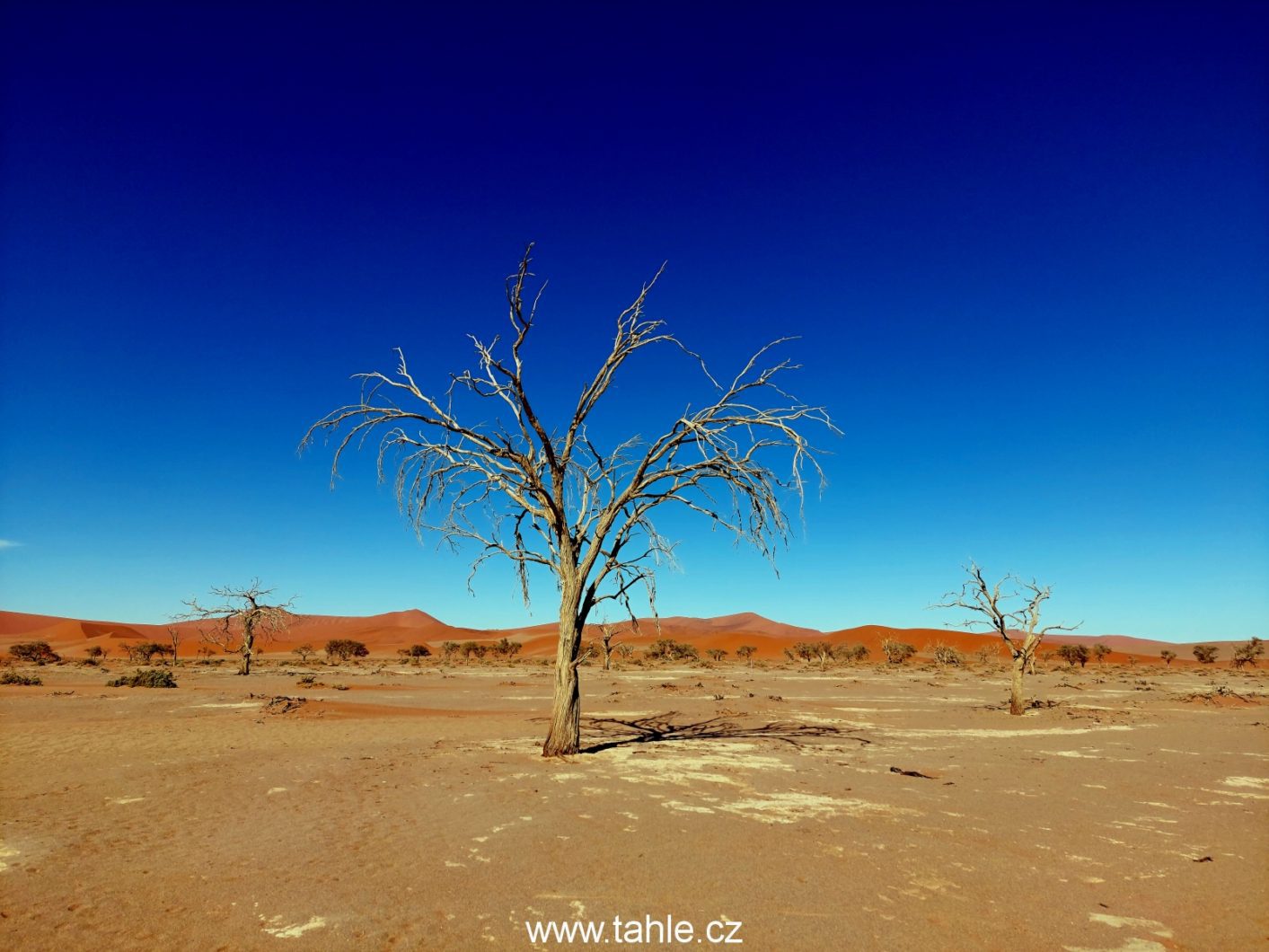 Sossusvlei