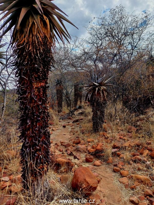 Waterberg Plateau Park