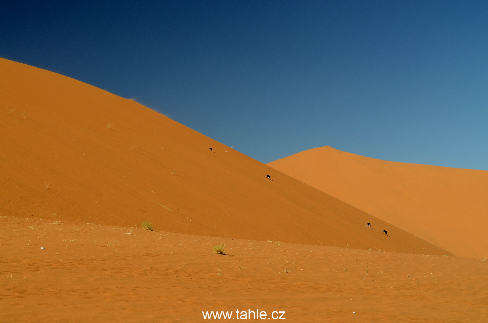 Sossusvlei