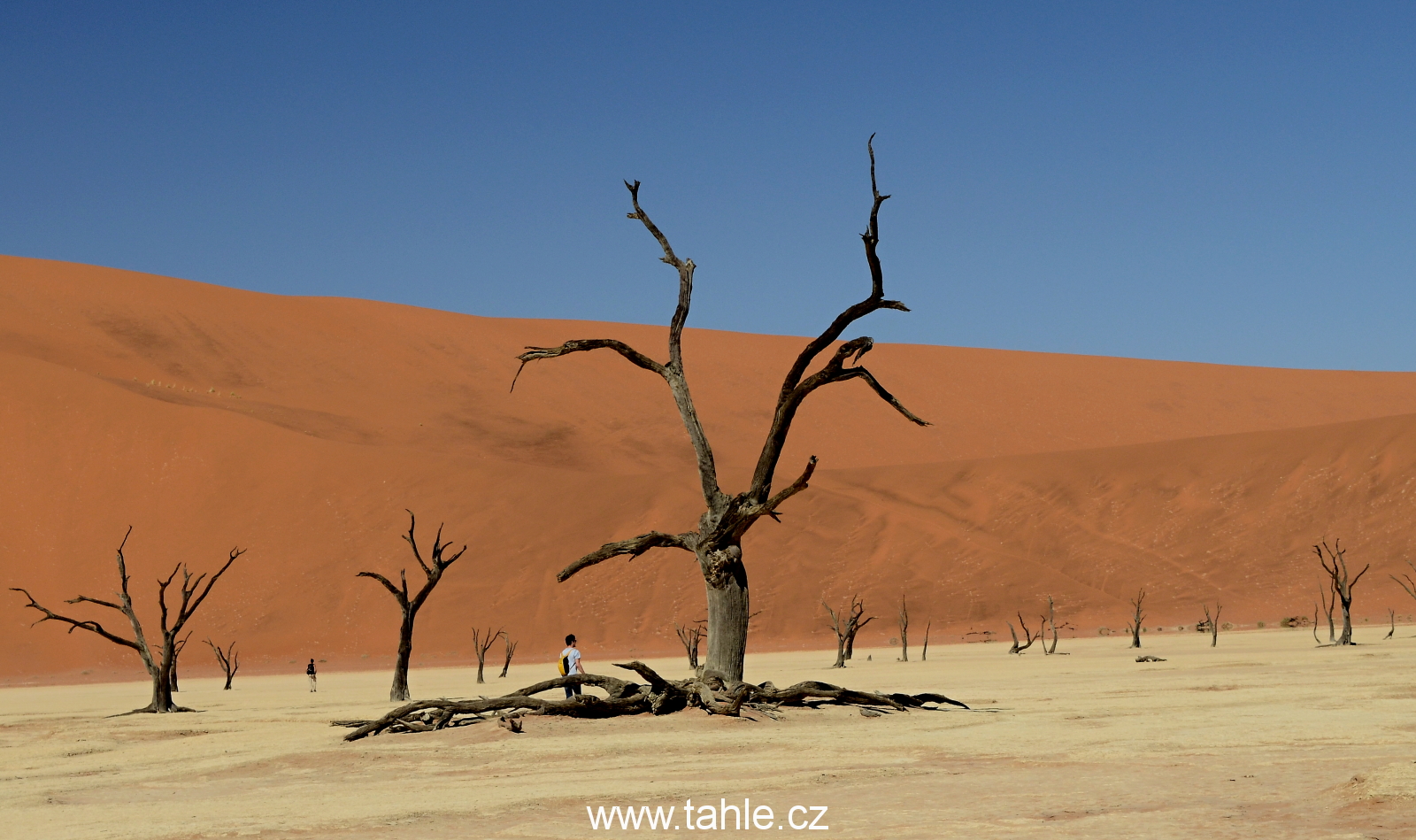 Sossusvlei