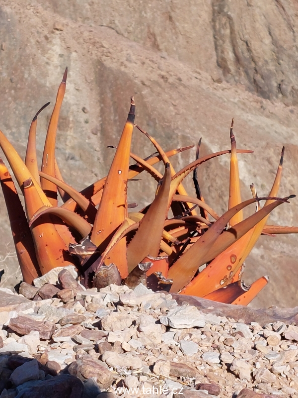Fish River Canyon